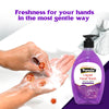 Panda Energy 500ml Antibacterial Liquid Hand Wash with pump for deep cleansing, germ protection, and fragrant freshness.