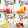 Strong metal hand juicer for citrus, watermelons, and fruits. Small manual press for quick, fresh daily fruit juice.